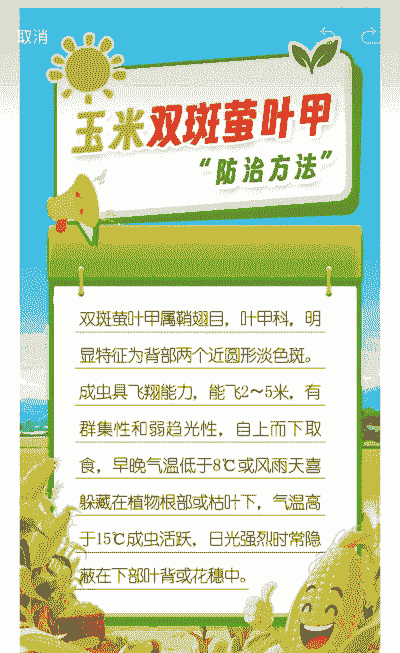 玉米种植技术与防害措施