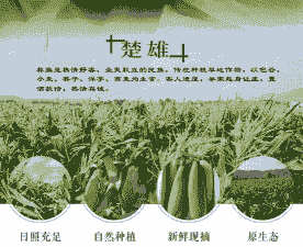 楚雄甜玉米种植面积多少