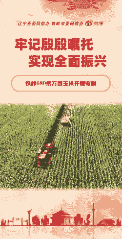 铁岭玉米种植面积多少亩