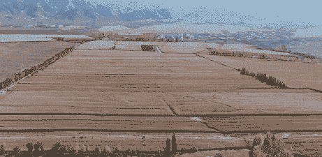 特克斯有多少玉米种植基地