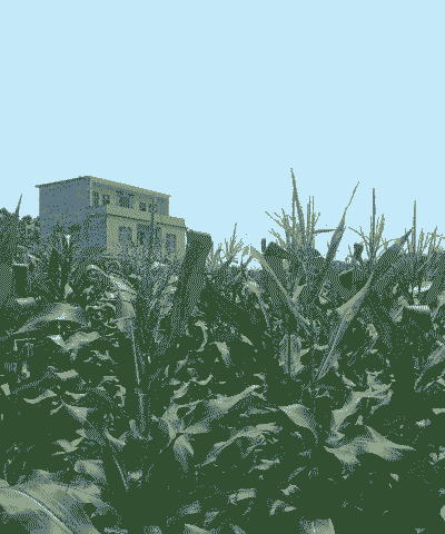 丰城玉米种植基地在哪里