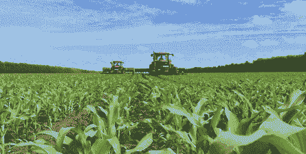 大田玉米种植模式有哪些