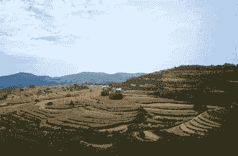 宜君县玉米种植地点