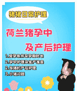 母猪产后护理哪个学校好