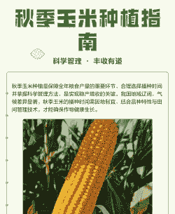 秋季玉米种植时间和方法