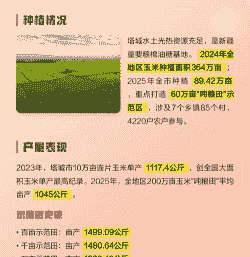 新疆塔城玉米种植成本价
