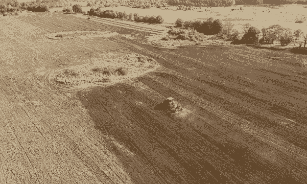 阿根廷玉米种植面积多大