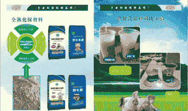 母猪产后麸皮喂多少合适