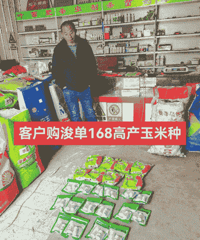 种植玉米种子卖给谁了