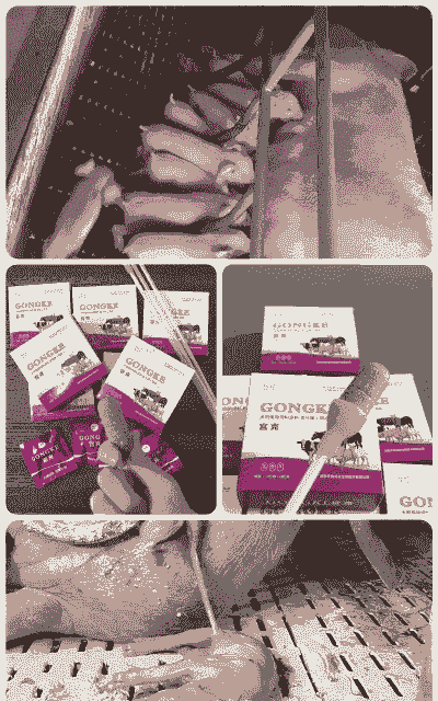 母猪的产后护理赚钱吗