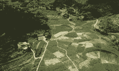 边阳镇玉米种植面积多大