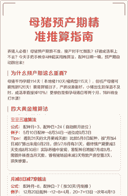 母猪产后清宫术最佳时间