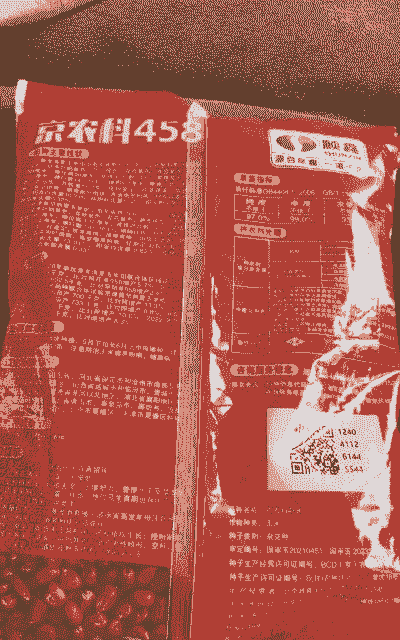 文安县玉米种植品种目录