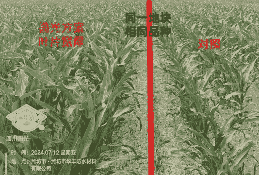 南北方玉米种植的差异