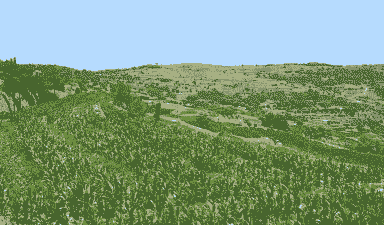 秦安县玉米种植面积多大