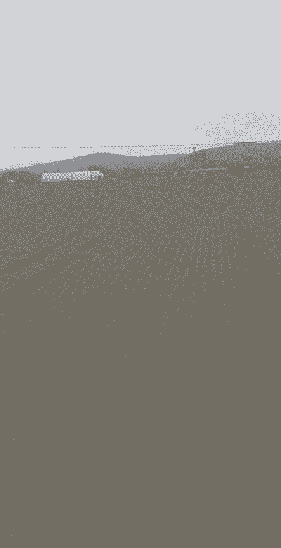 玉米种植的常用地块是