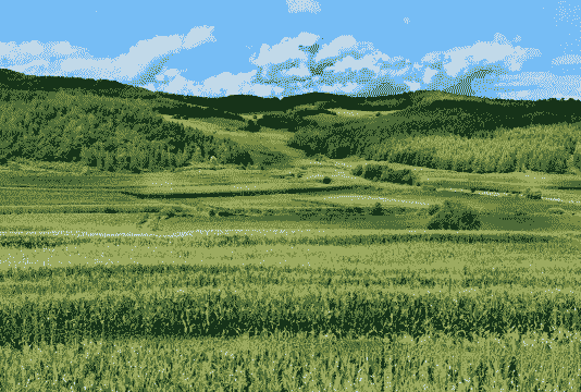 牡丹江玉米种植地区在哪