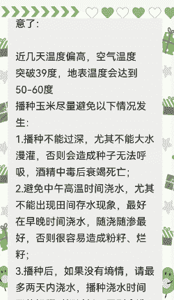 玉米种植温度高怎么办