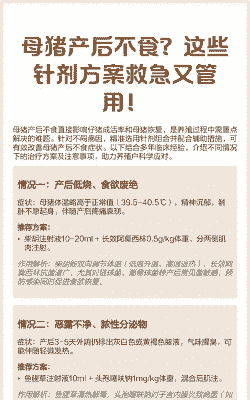 母猪产后不吃食怎么用药