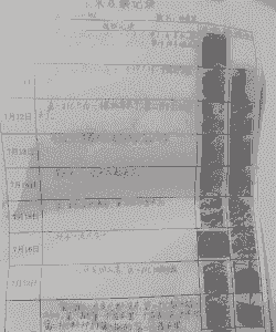 玉米种植农户采访记录内容