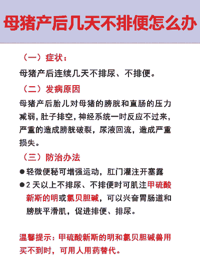 母猪产后不大便土方法