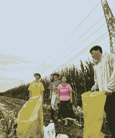 天气多少度适合玉米种植