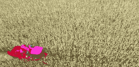 朔城玉米种植基地在哪里