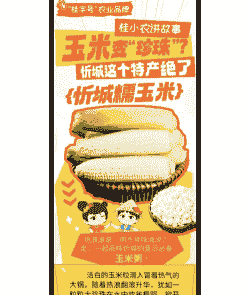 忻城糯玉米种植大户名单