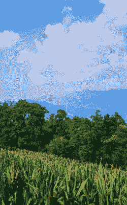 重庆玉米种植区在哪里啊