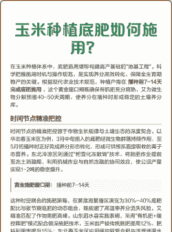 玉米种植底肥怎么用的呢