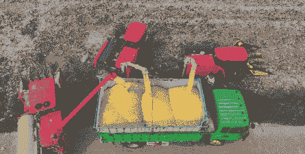 南昌进贤玉米种植基地有哪些