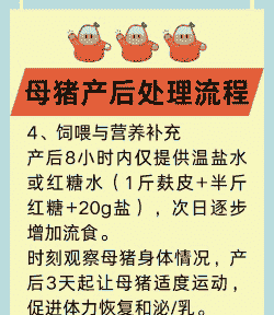 母猪生产后如何补营养