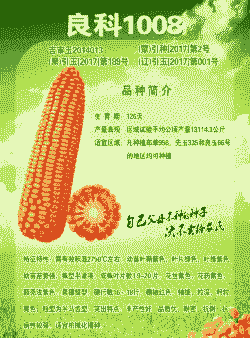 辽宁玉米种子哪种好种植