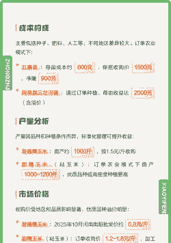 玉米种植利润多少一亩