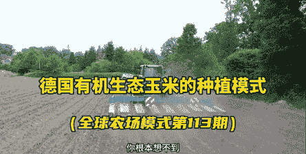 德国有没有玉米种植面积