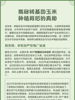 转基因玉米种植新政策