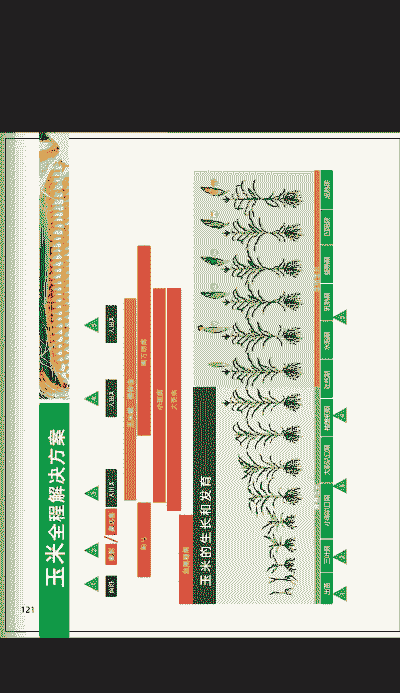中国各地玉米种植时间表