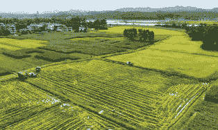 博白县农村玉米种植面积