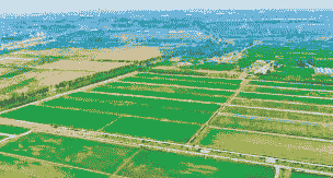 原平市优质玉米种植面积