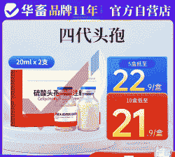 母猪产后消炎打几支头孢