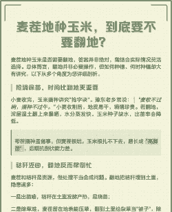 玉米种植不翻地可以吗