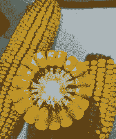 新疆玉米种植大户排名榜