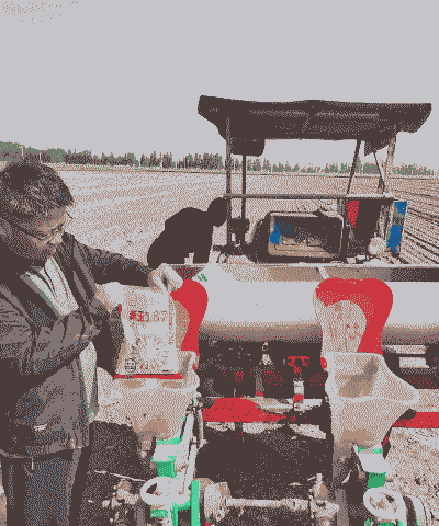 春播玉米种子怎么种植的