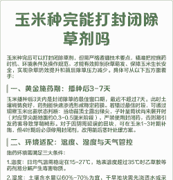 玉米种植打封闭药怎么打