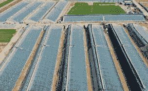 皮山县农场玉米种植面积