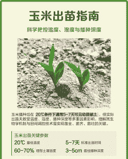 玉米种植后几天后出苗