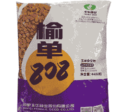 好的玉米种子华北种植