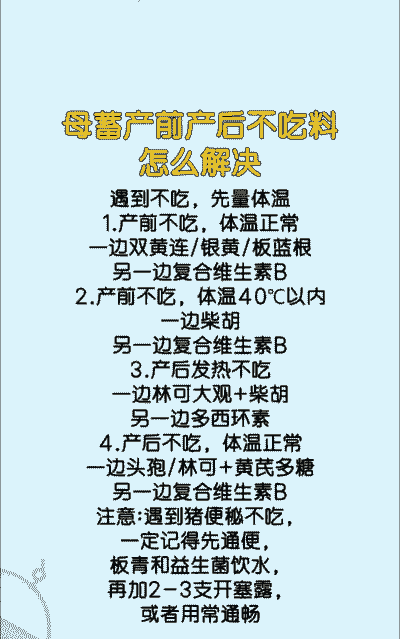 母猪产前预防产后不吃食