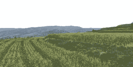 榆中哪里有玉米种植场子