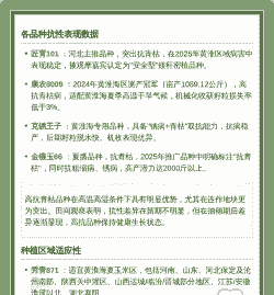 抗青枯玉米种植品种介绍